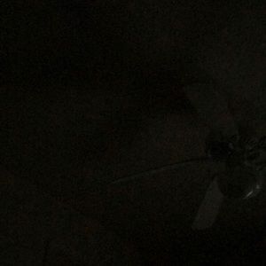 Meet your Posher, Latasha